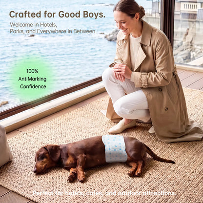 Disposable Male Dog Wraps