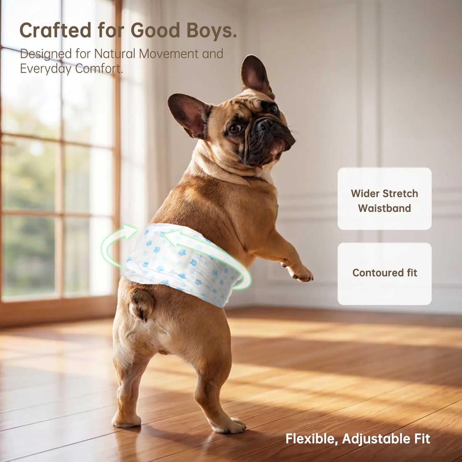 Disposable Male Dog Wraps
