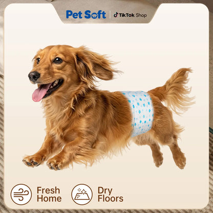 Disposable Male Dog Wraps